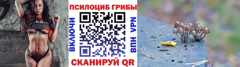 Галлюциногенные грибы мухоморы  Купить  Заволжск 
